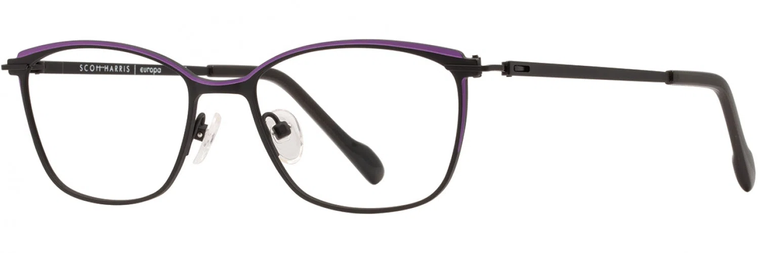 Scott Harris SH824 Eyeglasses - view 6